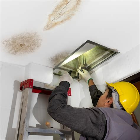 leaking pipes in ceiling|How to Troubleshoot and Repair a Leaking Ceiling